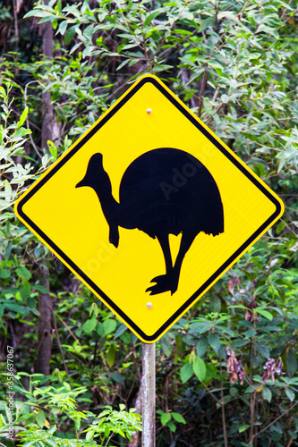 Road sign for cassowary bird crossing in forest. photo