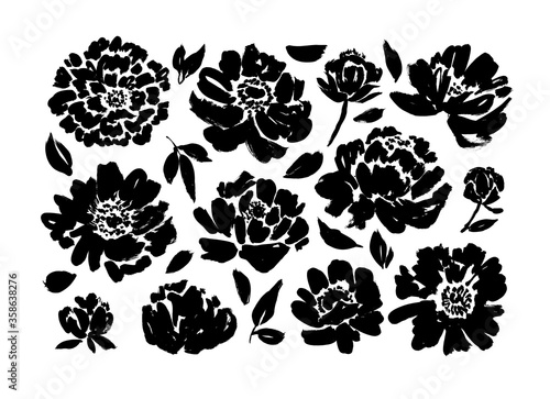 Roses, peonies, chrysanthemums hand drawn vector set. Black brush paint flower silhouettes with leaves.