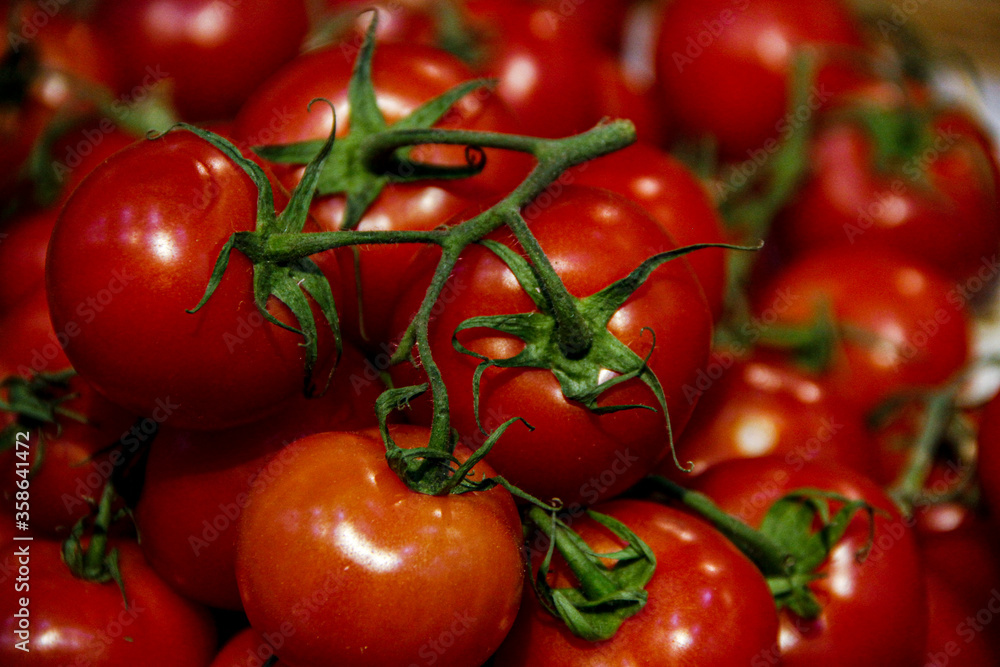Red tomato bunches with green stems