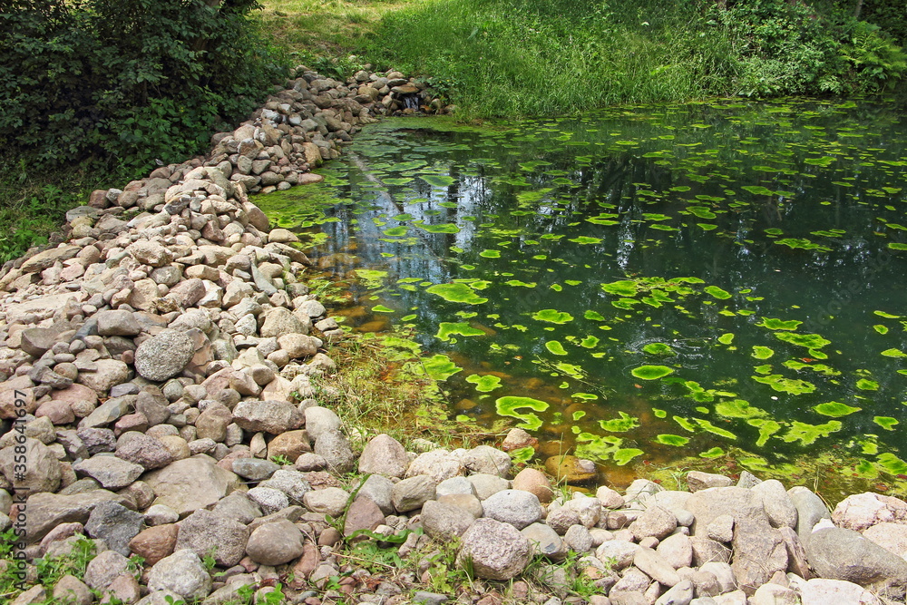 A beautiful cobblestones dam on forest lake overgrown with green water Lily leaves on a summer day, ecological European landscape A beautiful cobblestones dam on forest lake overgrown with green water Lily leaves on a summer day, ecological European landscape