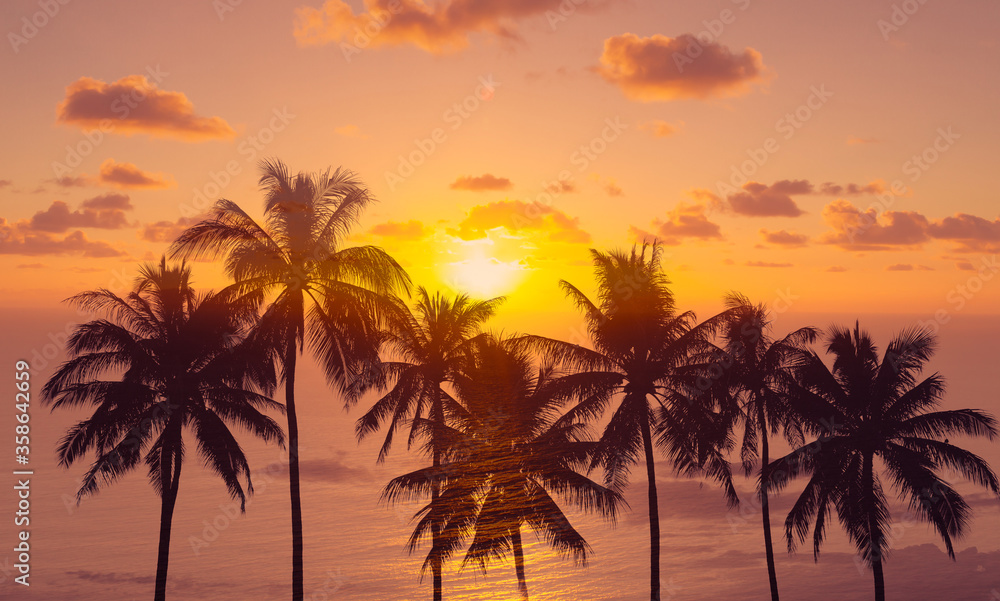 Beautiful sunset sky and palm trees 