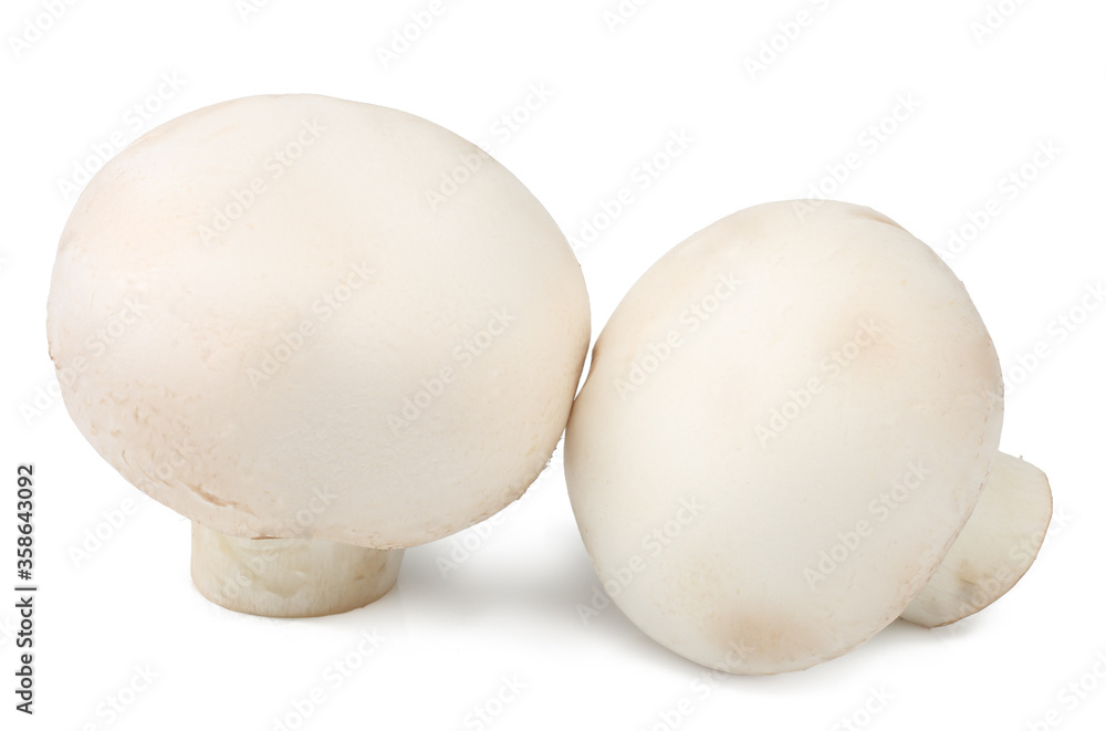 Mushrooms isolated on a white background Mushrooms isolated on a white background