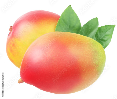 Mango fruits isolated on the white background