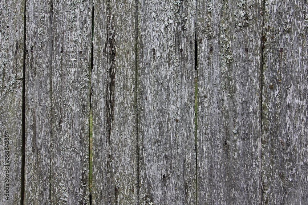 Old weathered wood plank vertical texture close up for rural background Old weathered wood plank vertical texture close up for rural background