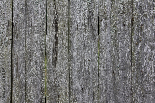 Old weathered wood plank vertical texture close up for rural background