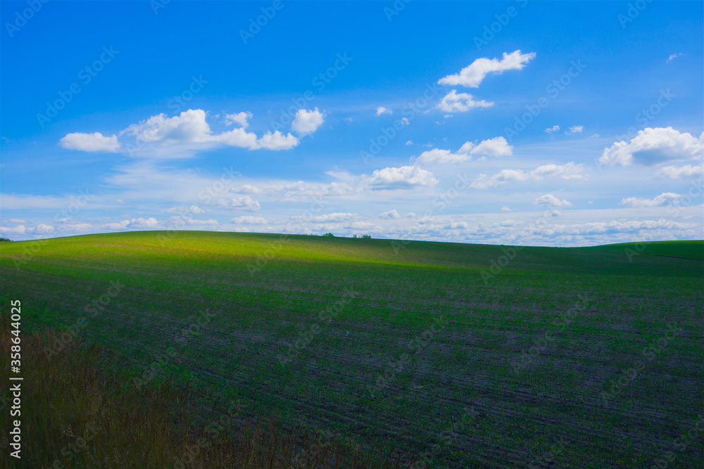 Green landscape, field and blue sky, almost like windows XP screen, nature, countryside