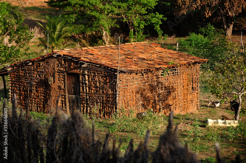 Traditional Brazilian Pau a Pique home, handmade clay house, with mud and tree trunks, sticks, wood.  Typical of outskirts hinterlands, poverty area afected by drought, farmland. Ceará.