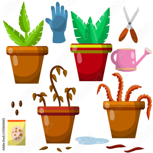Set of domestic plants. Green and dry leaves. Equipment for care of flowers. Brown pot. Cartoon flat illustration. Watering can, farm gloves, scissors and seeds, puddle of water