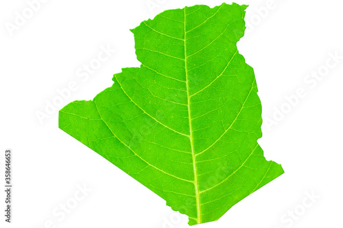 Map of Algeria in green leaf texture on a white isolated background. Ecology  climate concept. . 3d illustration.