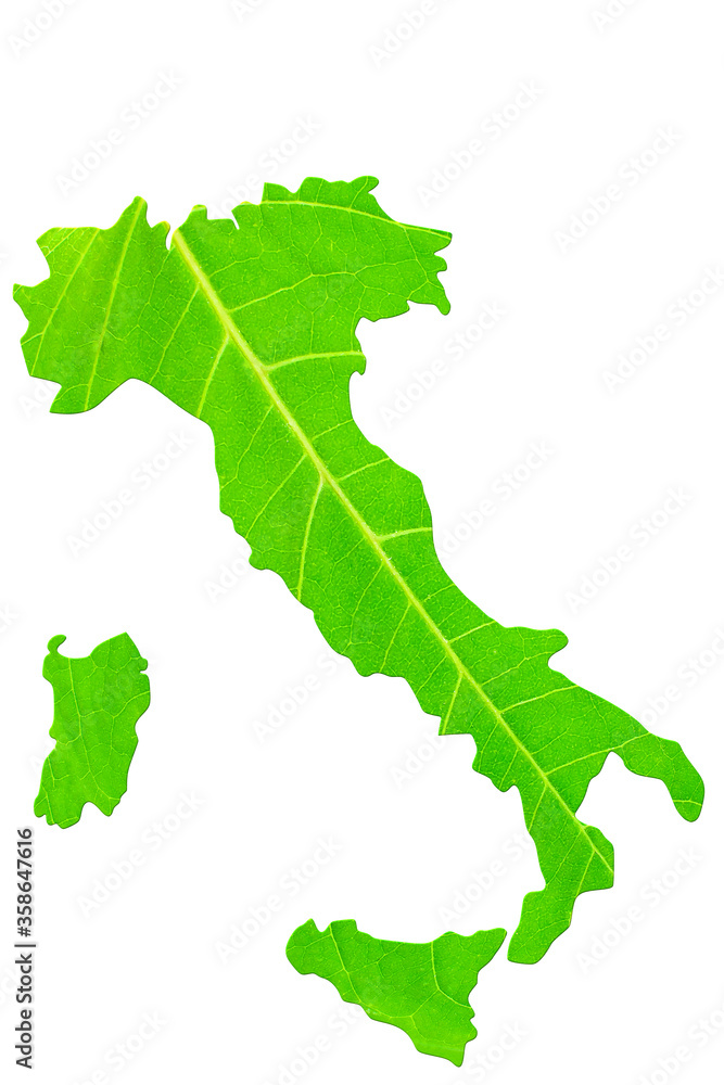 Map of Israel in green leaf texture on a white isolated background. Ecology, climate concept. 3d illustration. Map of Israel in green leaf texture on a white isolated background. Ecology, climate concept. 3d illustration.