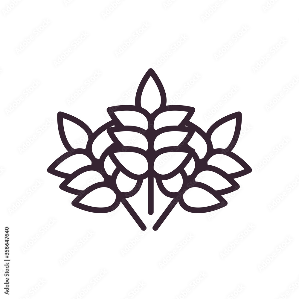 Wheat ears line style icon vector design Wheat ears line style icon vector design