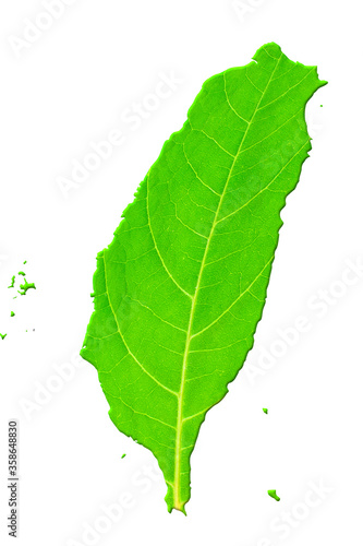 Map of Taiwan in green leaf texture on a white isolated background. Ecology, climate concept. 3d illustration.