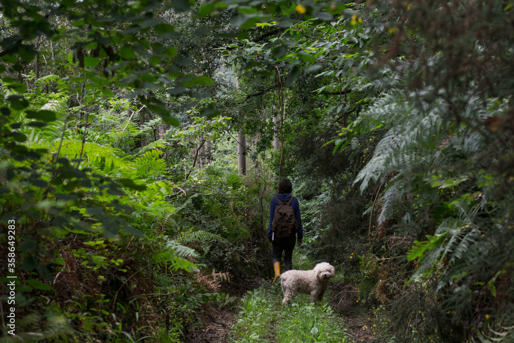 girl in blue sweatshirt with stars and brown backpack and book in hand with a white dog walking along a path with vegetation in Asturias.
girl in blue sweatshirt with stars and brown backpack and book in hand with a white dog walking along a path with vegetation in Asturias.