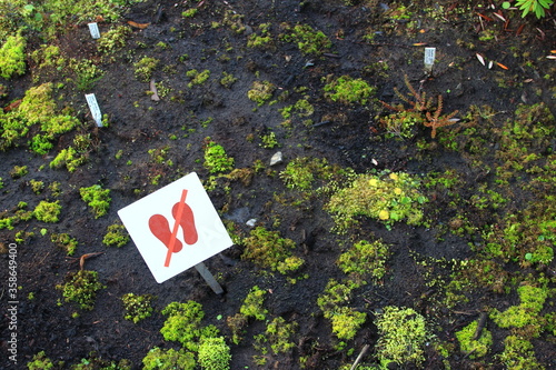 do not walk or stand here sign in the garden