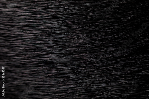 Schwarzes Hundefell als Hintergrund.