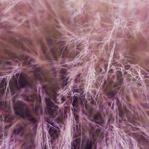 Pink abstract network. Close-up. 