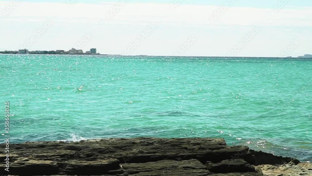 Seagull flies along the turquoise sea Seagull flies along the turquoise sea