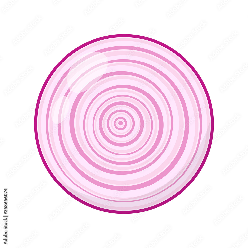 slice of onion isolated on white background slice of onion isolated on white background