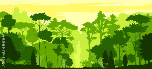 Forest silhouette deciduous. Vector. Summer landscape. Jungle.