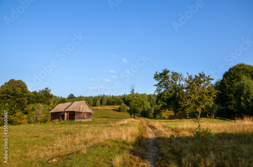 Wooden shepherd house with beautiful yellow and green meadow near forest. Traditional rural landscape in mountains. Carpathians, Ukraine.