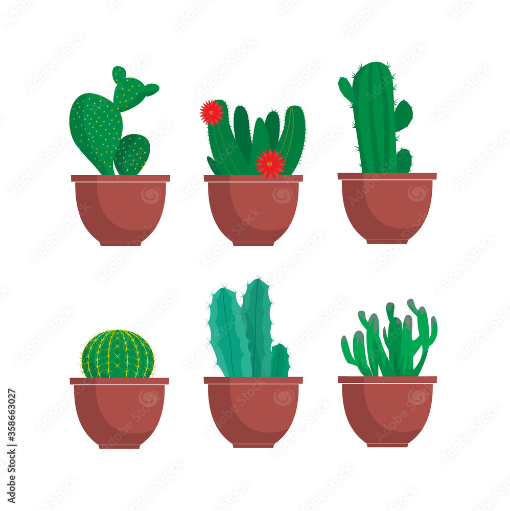 cactus vector illustration cactus vector illustration