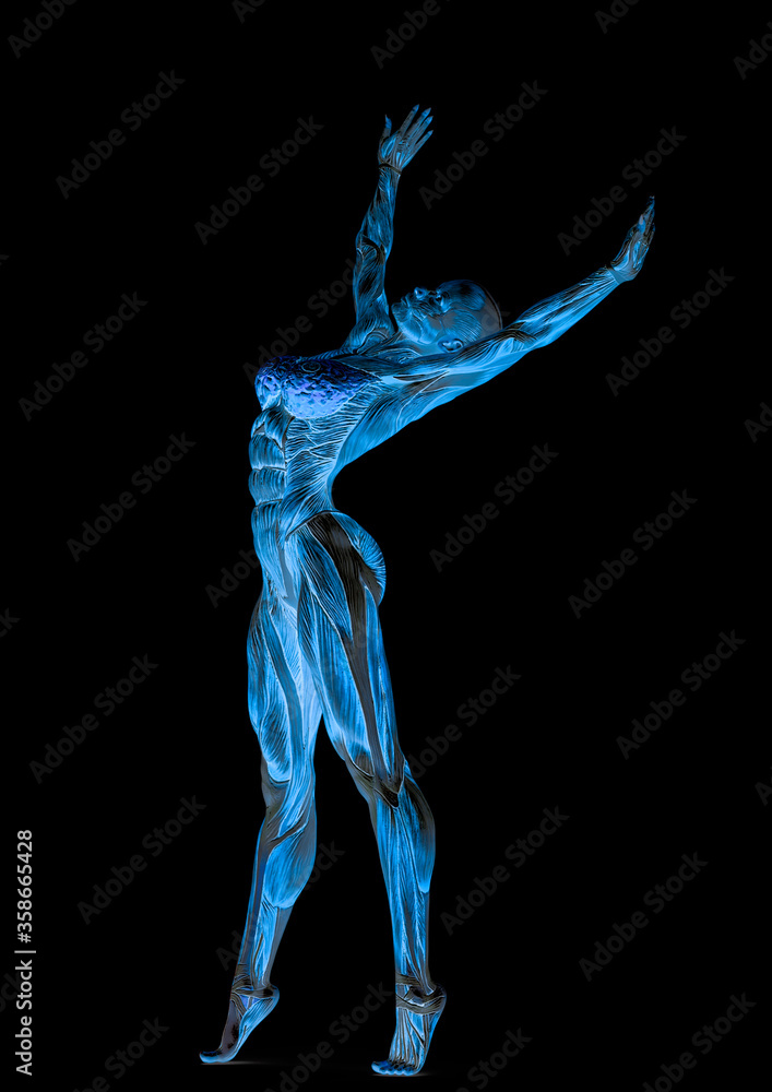 muscle woman doing a gymnastic pose two in white background muscle woman doing a gymnastic pose two in white background