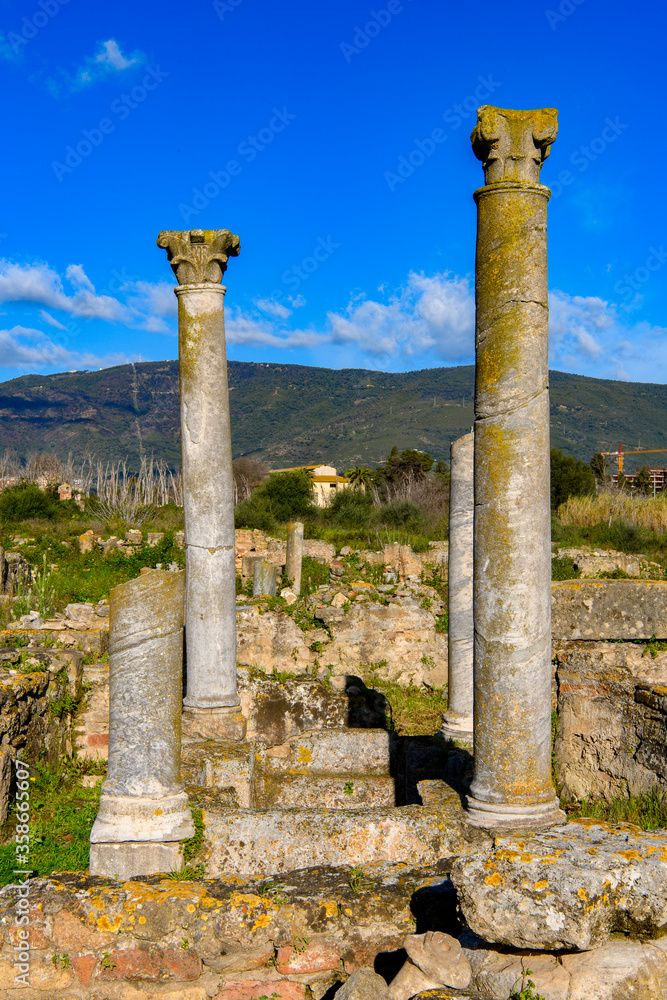 Ruins of Hippo Regius, a Phoenician, Berber and Roman city, Annaba Province, Algeria.