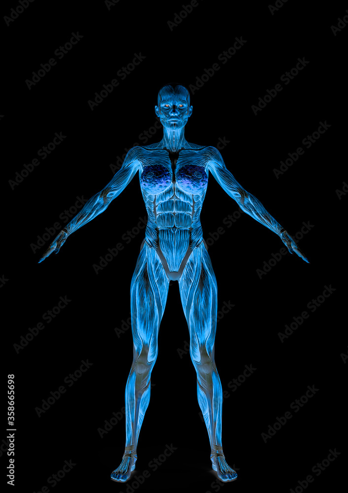 muscle woman standing up in white background muscle woman standing up in white background