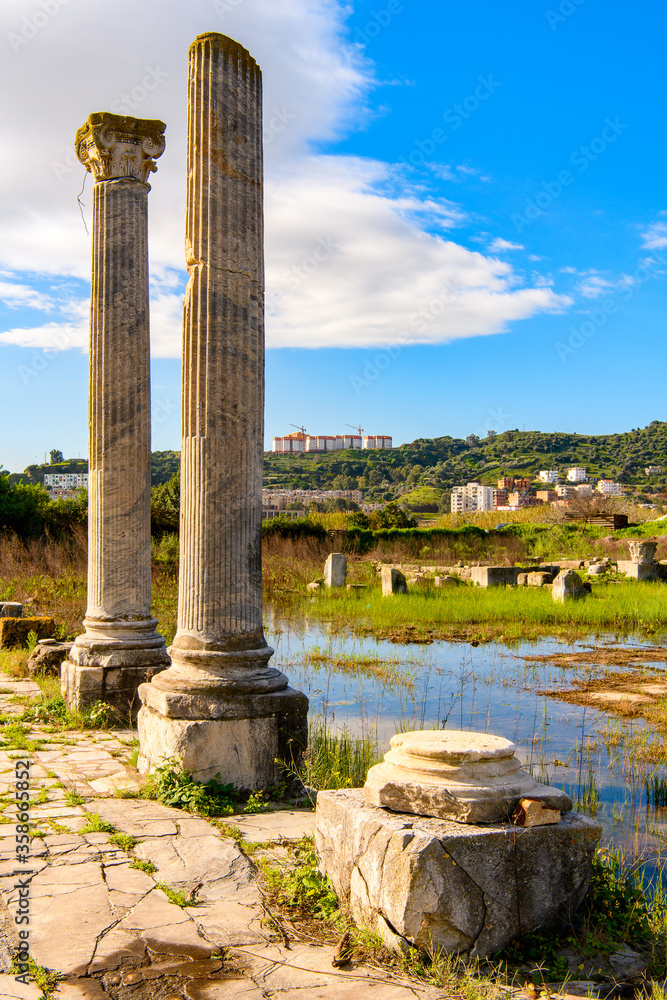 Columns in Hippo Regius, a Phoenician, Berber and Roman city, Annaba Province, Algeria.