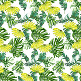 Seamless pattern with banana fruit, monstera leaves, variegated banana leaves on white background