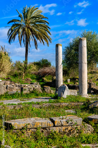 Columns in Hippo Regius, a Phoenician, Berber and Roman city, Annaba Province, Algeria. photo