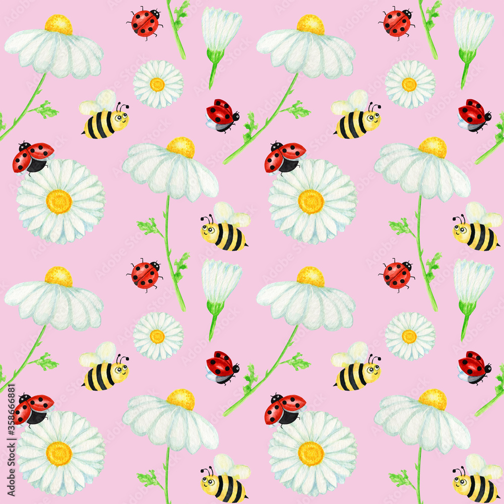 Watercolor daisy chamomile flower seamless pattern with fly ladybug, bee illustration. Hand drawn botanical herbs on pink background. White flowers, buds, stems, grass. Wild botanical garden bloom
