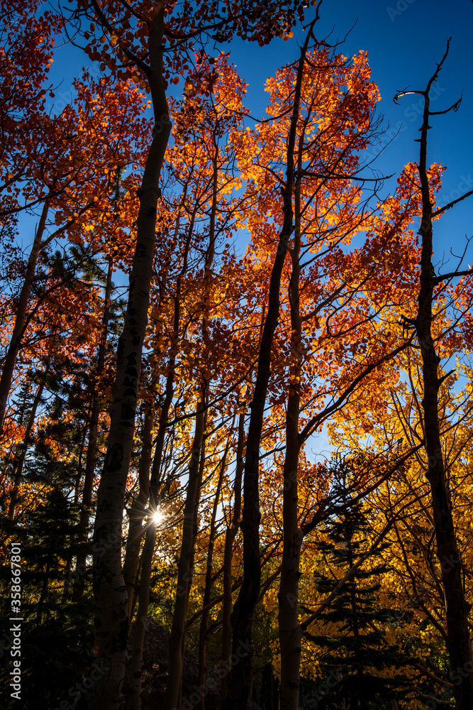 Fall time in the Rocky Mountains Fall time in the Rocky Mountains