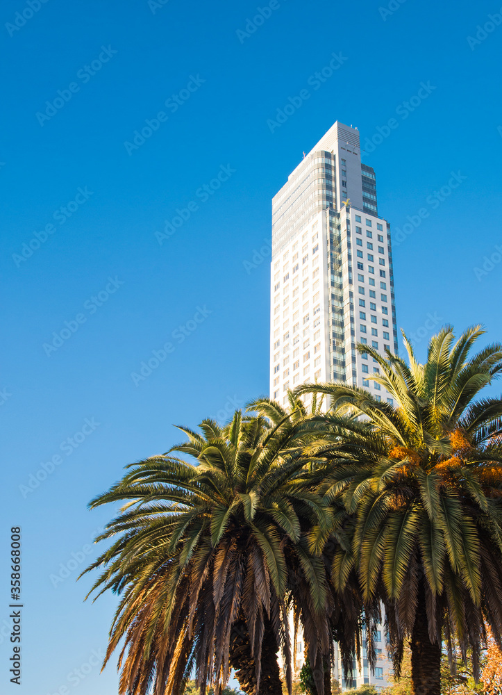 Fototapeta premium Landscape in modern city of skyscrapers with blue sky and palm trees