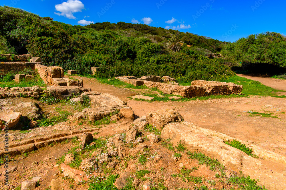 Nature and ruins of Tipasa, a colonia in Roman province Mauretania Caesariensis, nowadays Algeria. UNESCO World Heritage Site