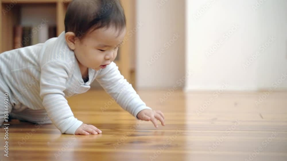 はいはいをする赤ちゃん はいはいをする赤ちゃん