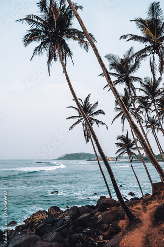 Coconut Tree Hill landmark near Mirissa beach. Palm trees growing diagonally all around the hill. Creative side angle with sea in the background. Beautiful view at sunrise.