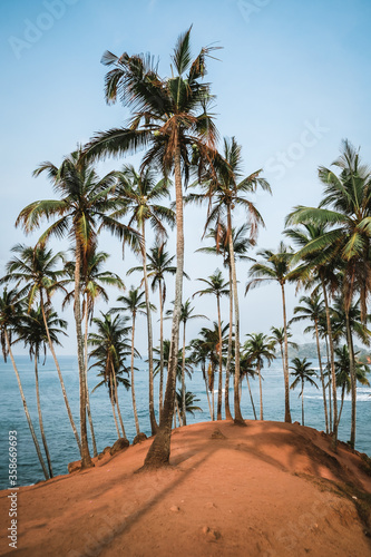 Empty Coconut Tree Hill in Mirissa at sunrise. Breathtaking view at a popular touristic destination in Sri Lanka. Palm trees growing all around making nice shadows.