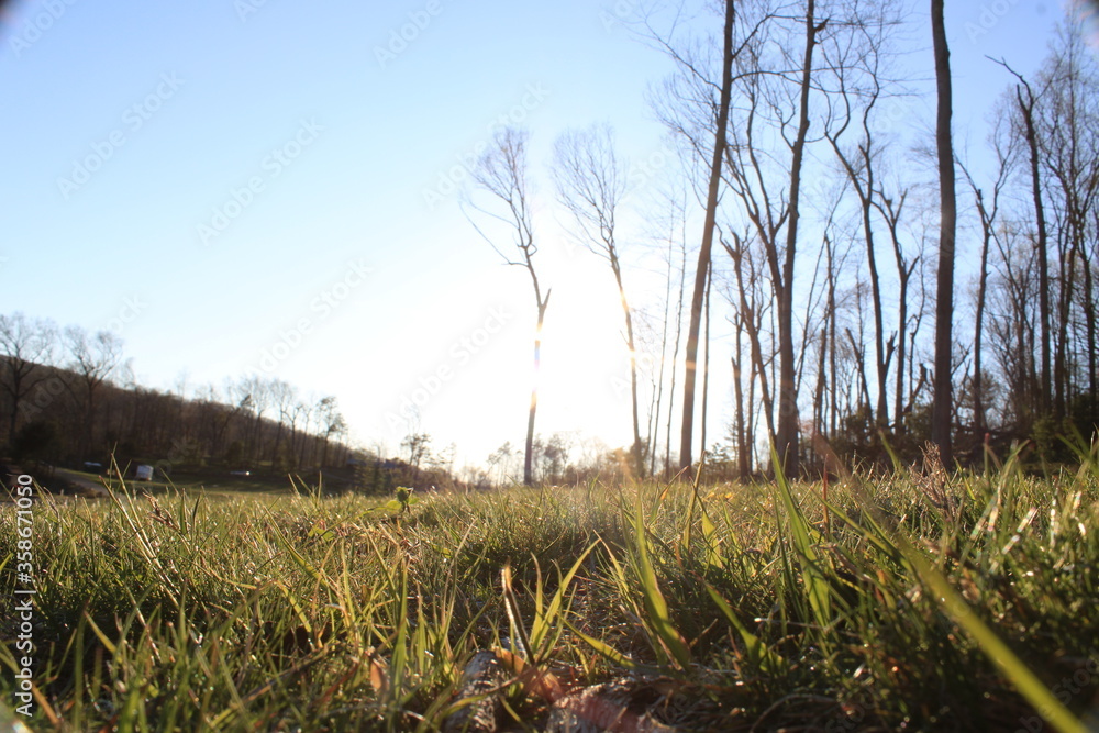 Fototapeta premium paisajes del paseo a montaña