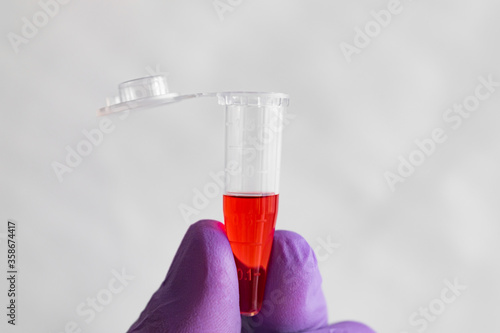 Wallpaper Mural Red sample in a 1.5 ml microcentrifuge tube in gloved hand Torontodigital.ca