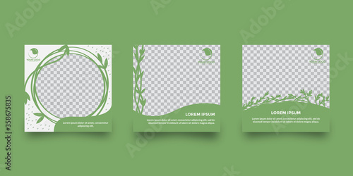 Social media post feminine nature design template