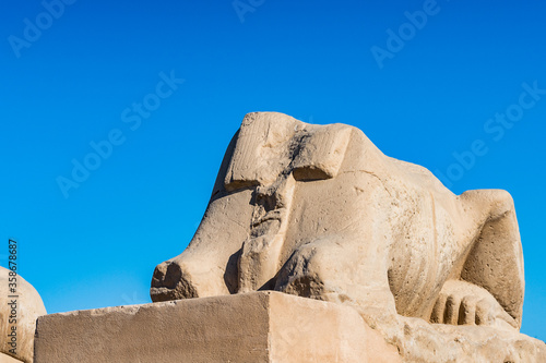 It's Ram statue at the gate of the Karnak temple (Ancient Thebes with its Necropolis), the main place of worship of the eighteenth dynasty Theban Triad with the god Amun as its head.