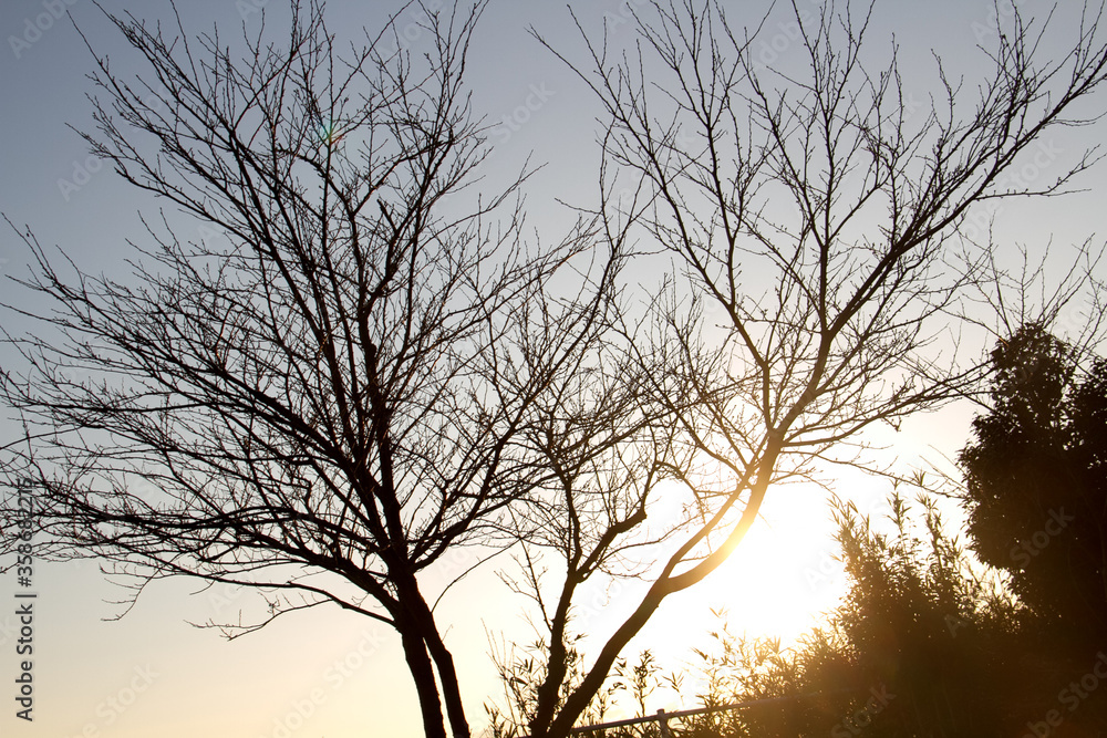 A park on Naoshima where the sun's beautiful rays shine in the evening_04 A park on Naoshima where the sun's beautiful rays shine in the evening_04