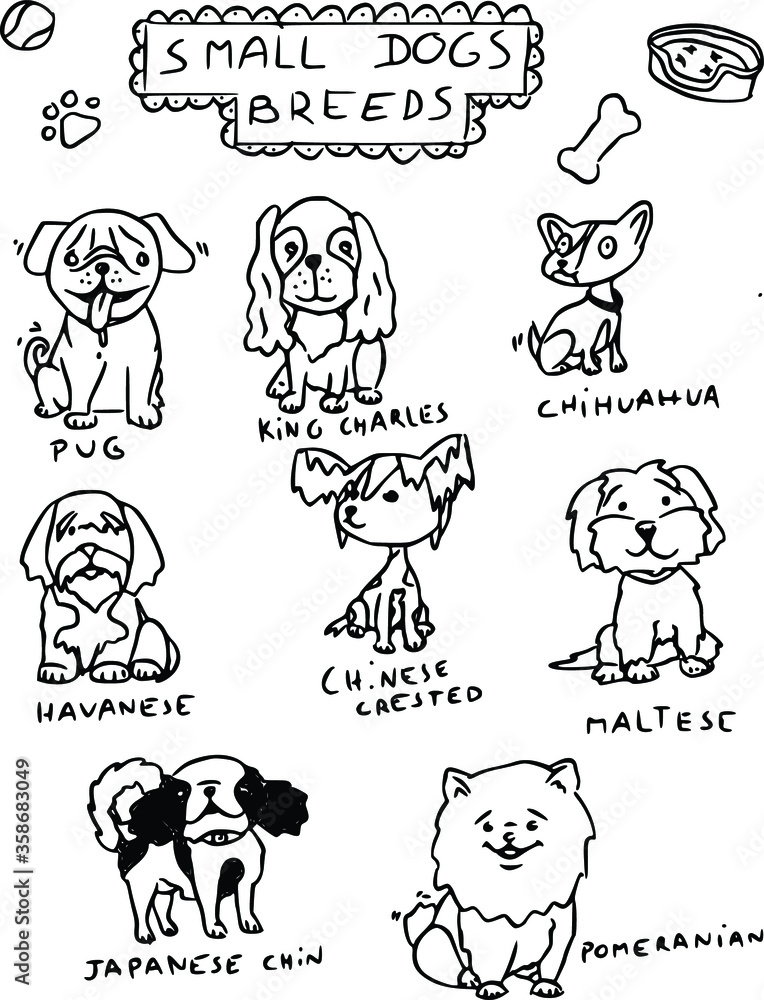 Fototapeta premium Different small breads dogs doodle by artist leachefson