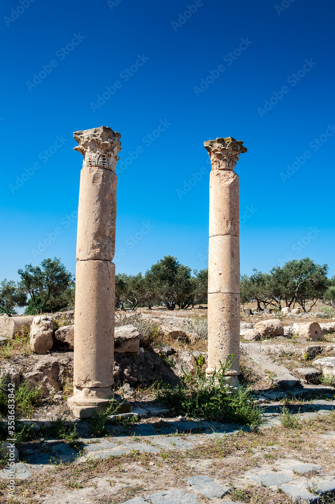 It's Colums of the ancient city of Gadara, modern Jordan