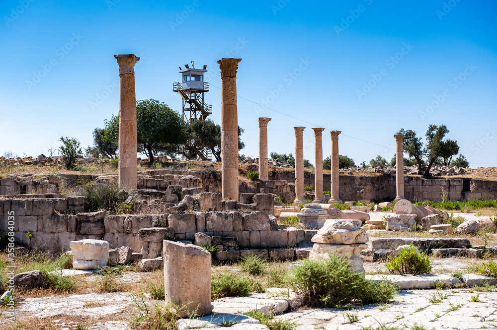 Fototapeta premium It's Roman colums of the ancient city of Gadara, modern Jordan