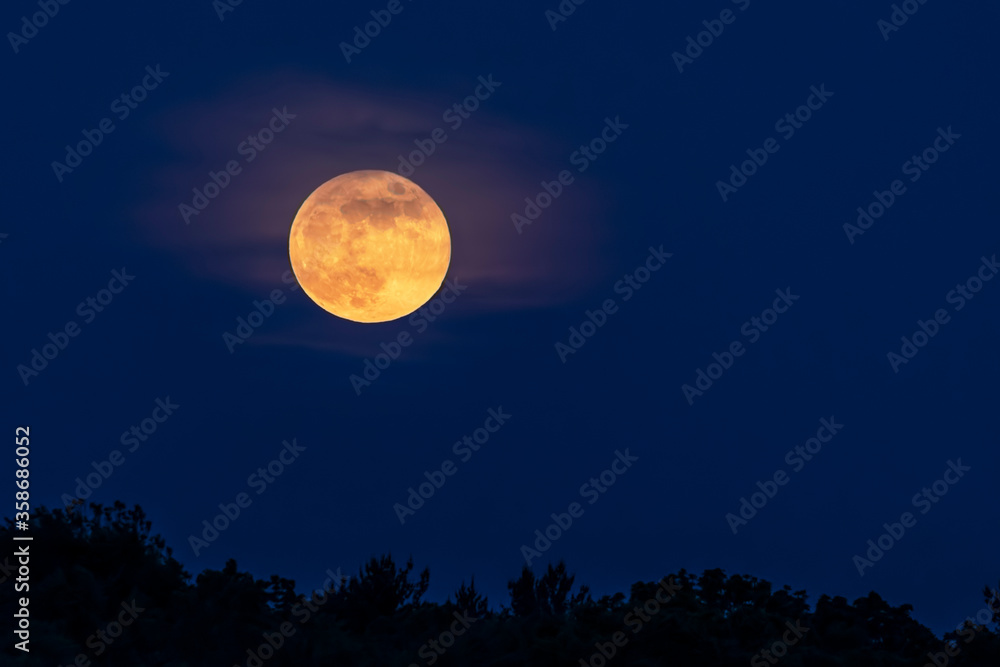 Full Moon Rising - A full moon rises through wispy clouds over the tops of trees in the night sky. Full Moon Rising - A full moon rises through wispy clouds over the tops of trees in the night sky.