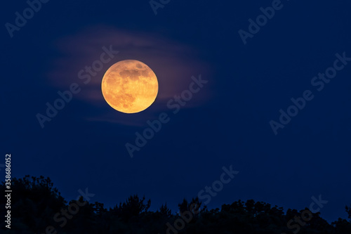 Full Moon Rising - A full moon rises through wispy clouds over the tops of trees in the night sky.