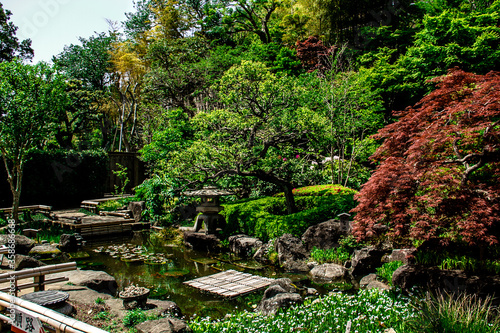 Plants and trees in a garden at a temple in Kamakura_03