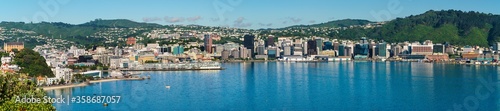 Wellington, New Zealand. Morning view of Wellington city  buildings and harbour viewed from Mount Victoria. Wellington is the Capital of NZ. © Stefan Mokrzecki